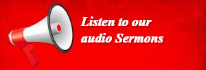 Megaphone Website Banner